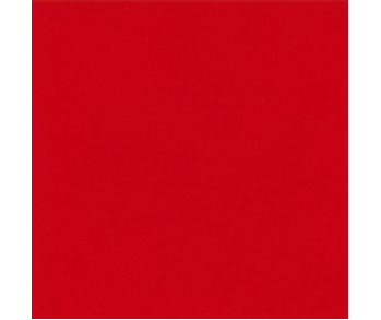 PAINT 4 LTR CASE RED